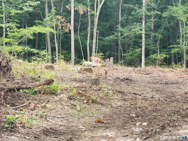 262 Route 81, Killingworth, CT 06419