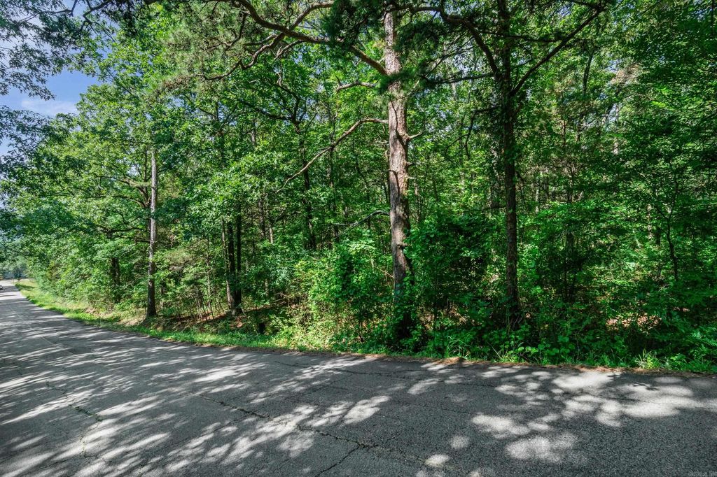 1.0 Block 5 SunnyMeadow/Broadway, Heber Springs, AR 72543 — photo 8