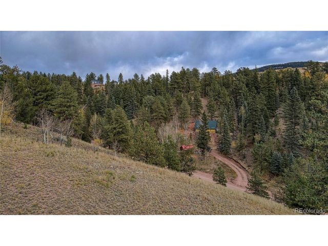65 Portland Dr, Cripple Creek, CO 80813