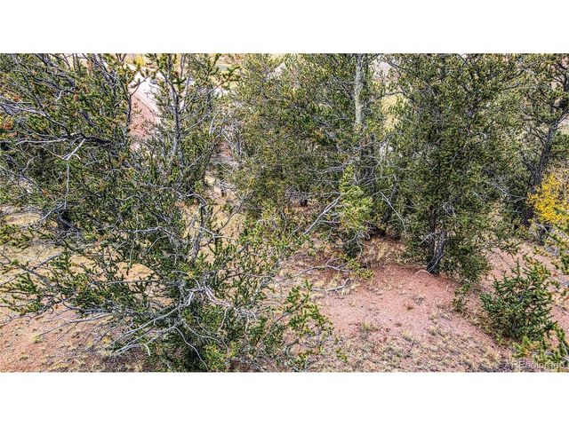 65 Portland Dr, Cripple Creek, CO 80813