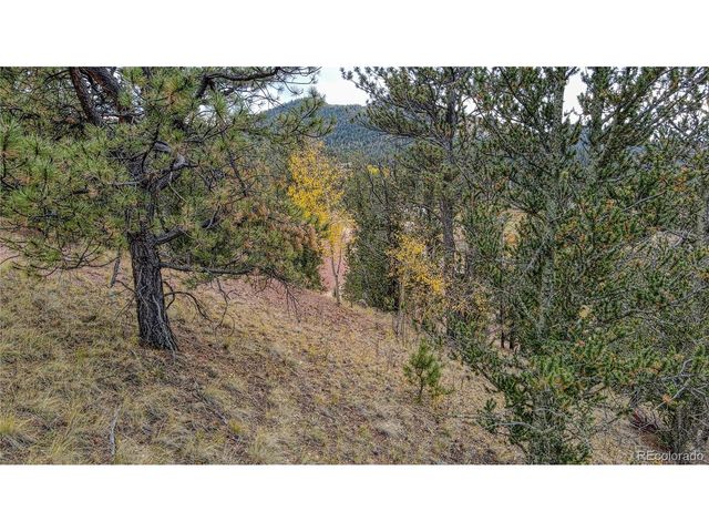 65 Portland Dr, Cripple Creek, CO 80813