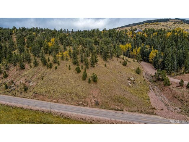 65 Portland Dr, Cripple Creek, CO 80813