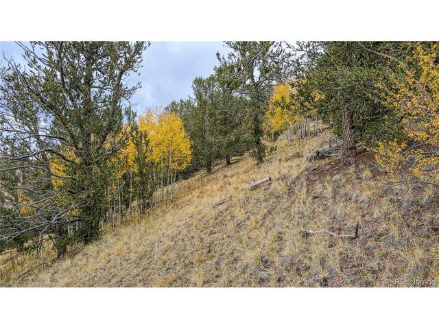 65 Portland Dr, Cripple Creek, CO 80813