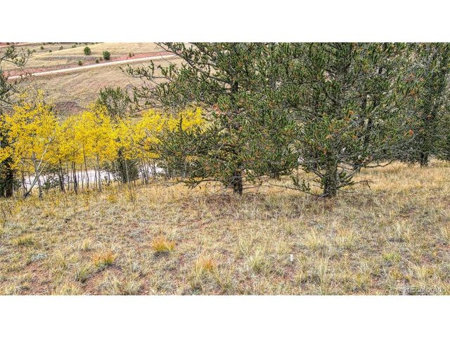 65 Portland Dr, Cripple Creek, CO 80813