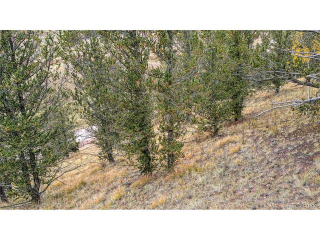 65 Portland Dr, Cripple Creek, CO 80813