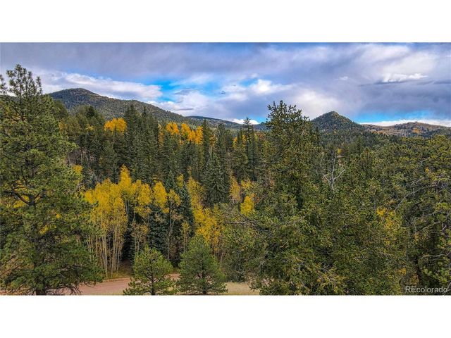 65 Portland Dr, Cripple Creek, CO 80813