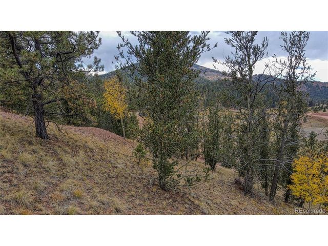 65 Portland Dr, Cripple Creek, CO 80813