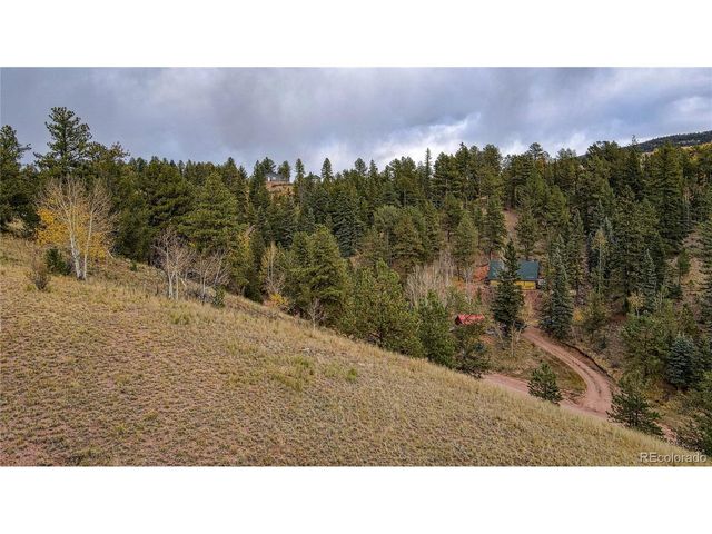 65 Portland Dr, Cripple Creek, CO 80813