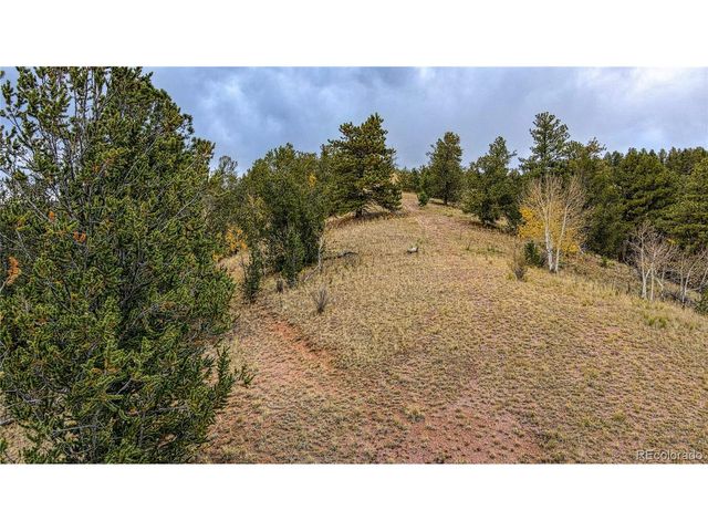 65 Portland Dr, Cripple Creek, CO 80813