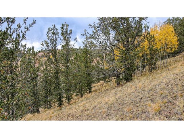 65 Portland Dr, Cripple Creek, CO 80813