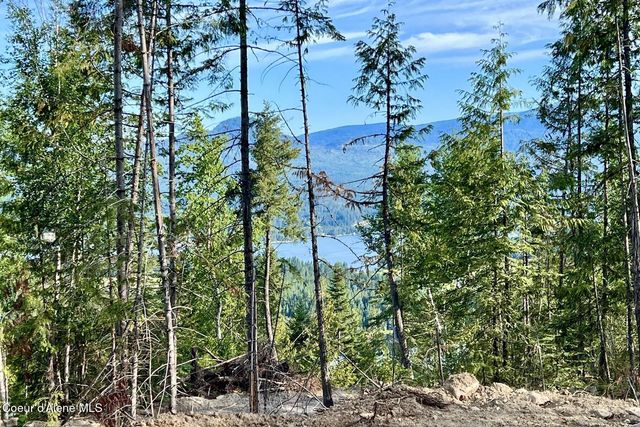 NNA Lot 8 Luna Ridge, Sagle, ID 83860