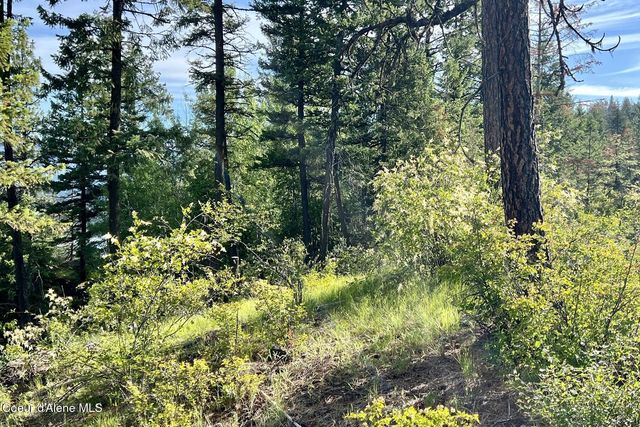 NNA Lot 8 Luna Ridge, Sagle, ID 83860