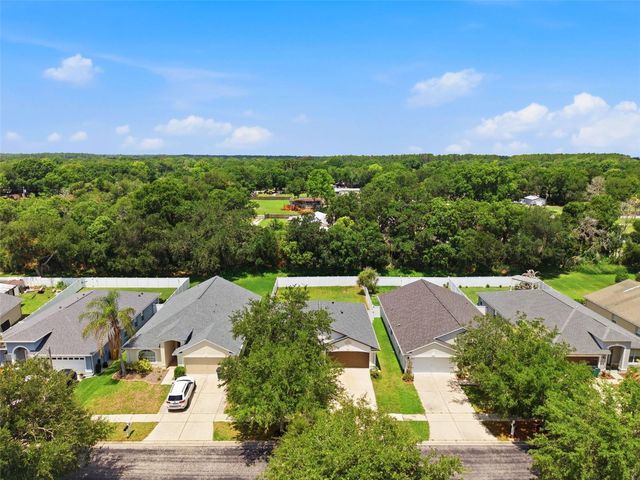 7315 NEWHALL PASS LANE, Wesley Chapel, FL 33545