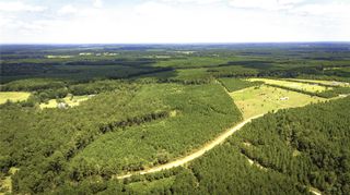 TBD Stutts Hill Rd, Livingston, TX 77351