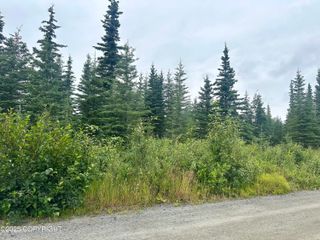 L4 B5 Harvey Street, Soldotna, AK 99669