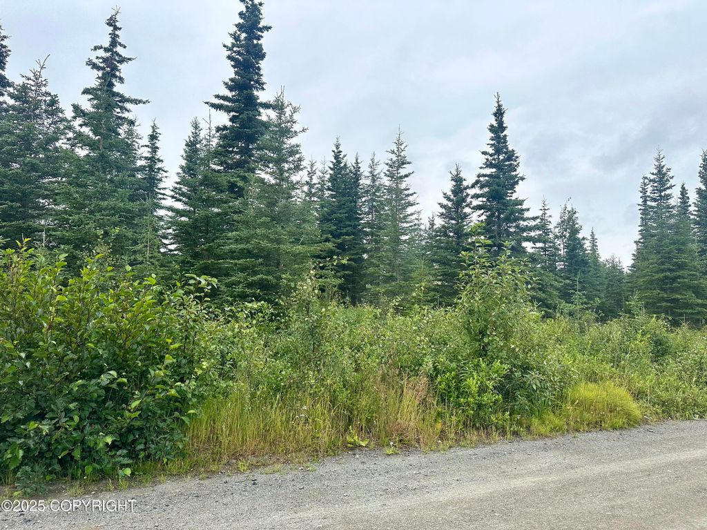 L4 B5 Harvey Street, Soldotna, AK 99669