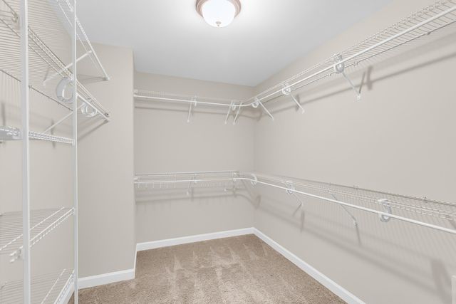 3222 Arrow Arum Drive, Johns Island, SC 29455