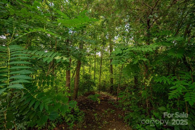 Lot 35 Line Drive, Forest City, NC 28043