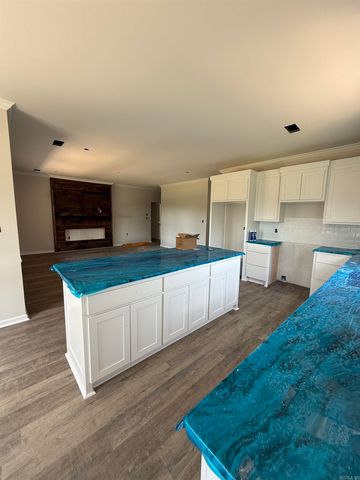 507 Madeleine Circle, Austin, AR 72007