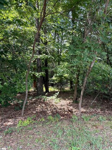 140 Crowne Hill Way, Marietta, SC 29661