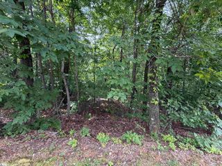 140 Crowne Hill Way, Marietta, SC 29661