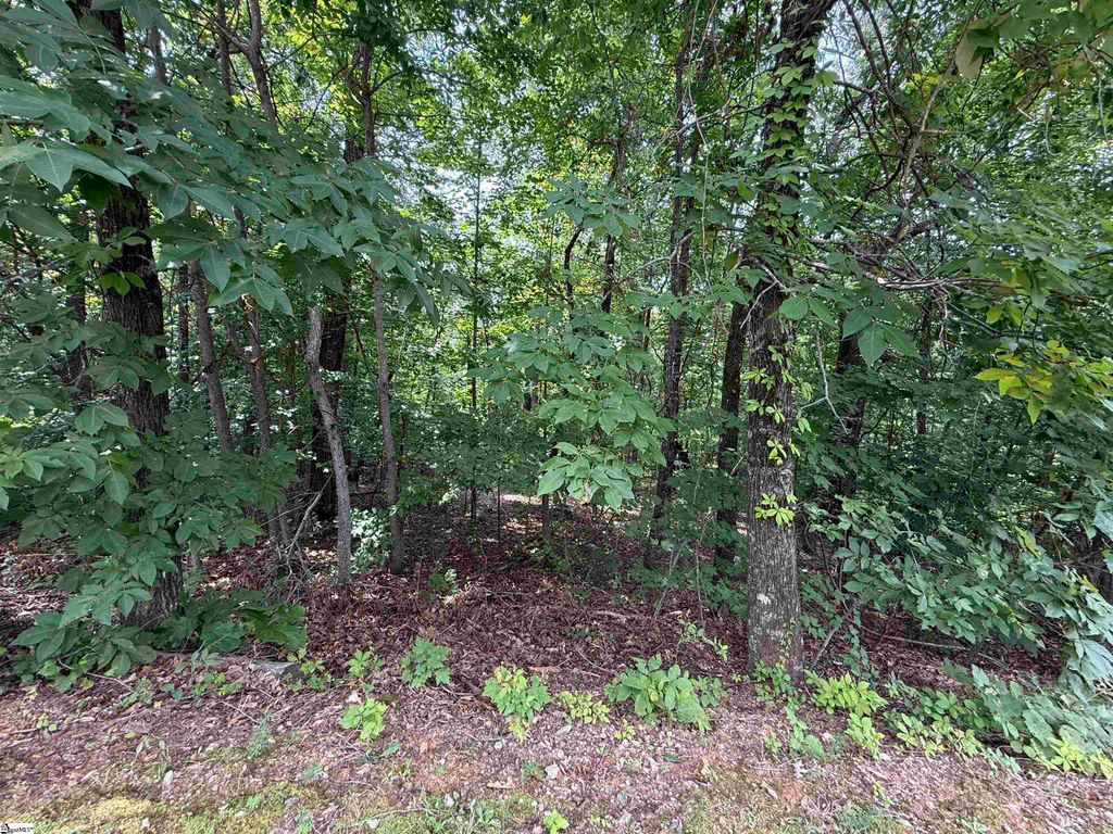 140 Crowne Hill Way, Marietta, SC 29661