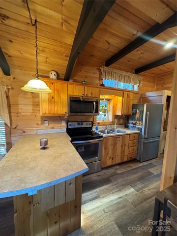 9 Candyland Court, Candler, NC 28715