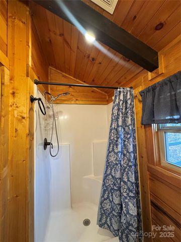 9 Candyland Court, Candler, NC 28715