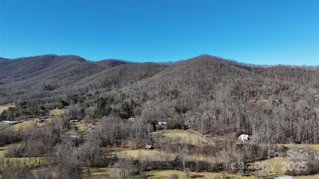 9 Candyland Court, Candler, NC 28715