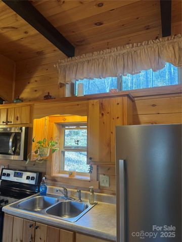 9 Candyland Court, Candler, NC 28715