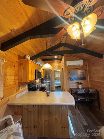 9 Candyland Court, Candler, NC 28715