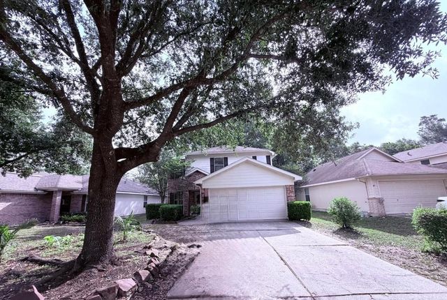 30 Thicket Grove Place, The Woodlands, TX 77385