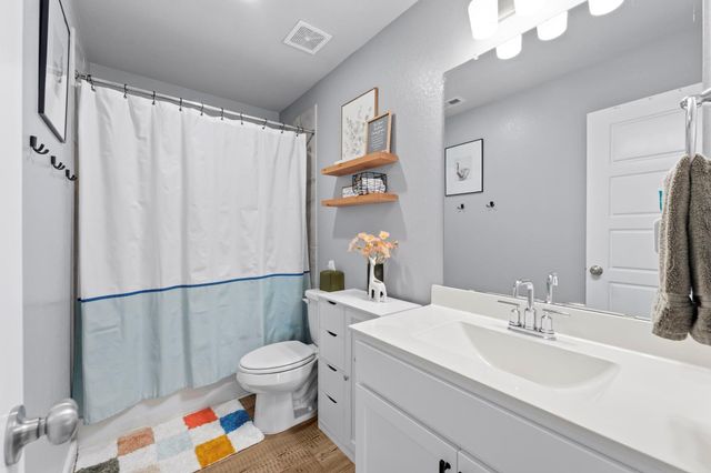 17696 Tree Of Heaven, Conroe, TX 77385