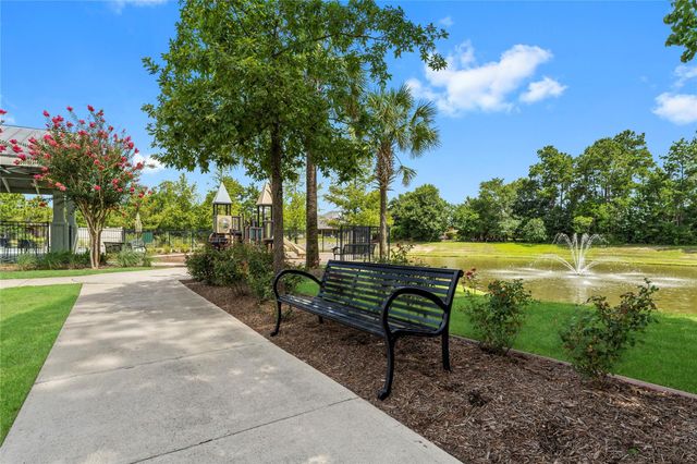 17696 Tree Of Heaven, Conroe, TX 77385