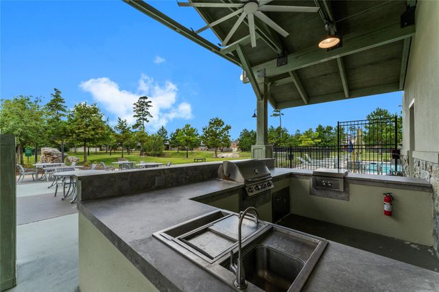 17696 Tree Of Heaven, Conroe, TX 77385