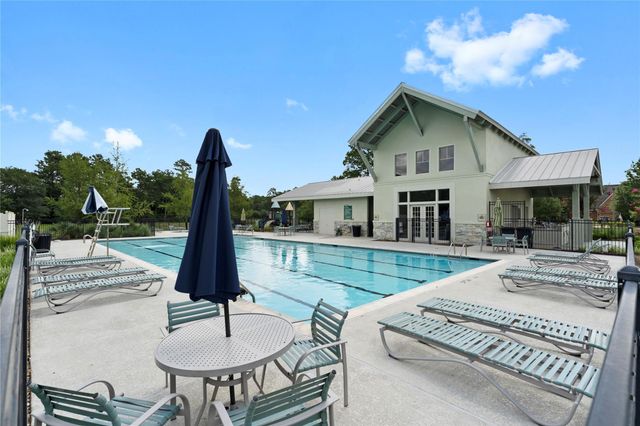 17696 Tree Of Heaven, Conroe, TX 77385