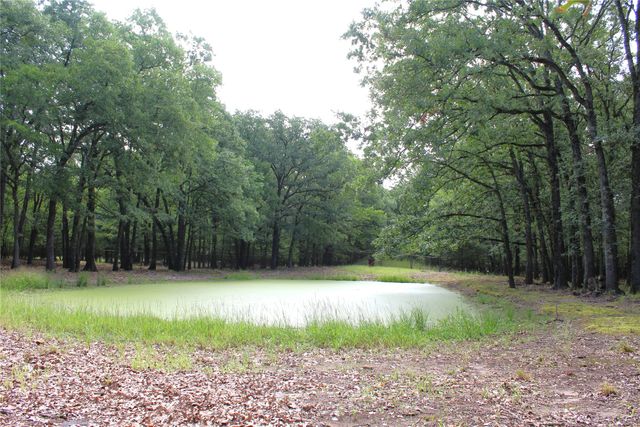 1204 Red Hawk Bay Drive, West Tawakoni, TX 75474