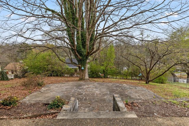 208 Buena Vista Drive, Chattanooga, TN 37404