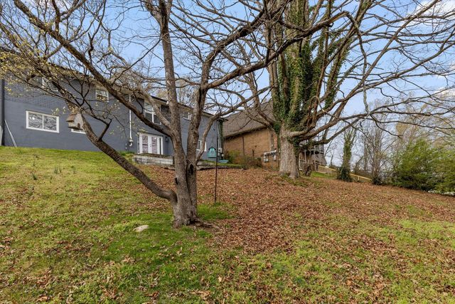 208 Buena Vista Drive, Chattanooga, TN 37404