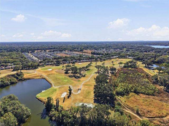 1129 EMERALD HILL WAY, Valrico, FL 33594