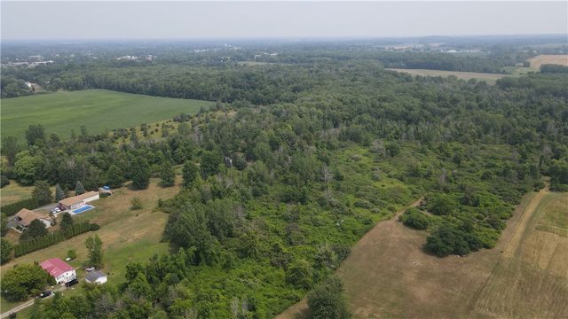 Gaines Basin Road, Albion, NY 14411