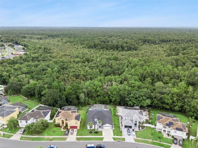 2529 JASMINE TRACE DRIVE, Kissimmee, FL 34758