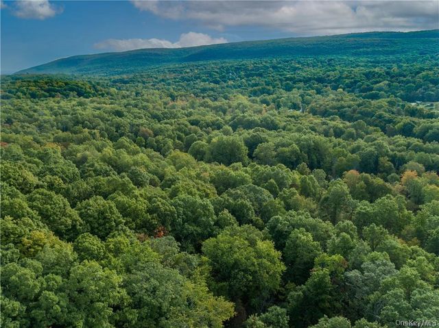 13 Kings Point Lane, Washingtonville, NY 10992