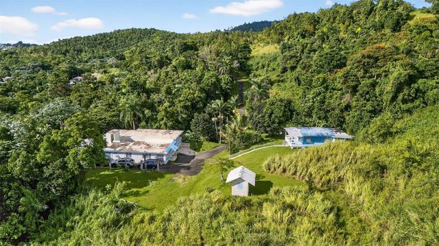 Carr. 186 INT 9948 KM 7.4 SECTOR MARINES CUBUY, Canovanas, PR 00729