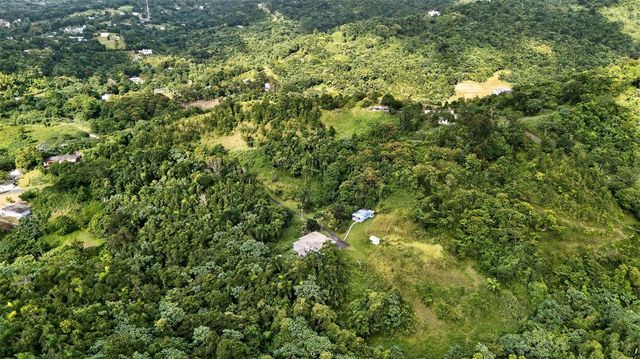 Carr. 186 INT 9948 KM 7.4 SECTOR MARINES CUBUY, Canovanas, PR 00729