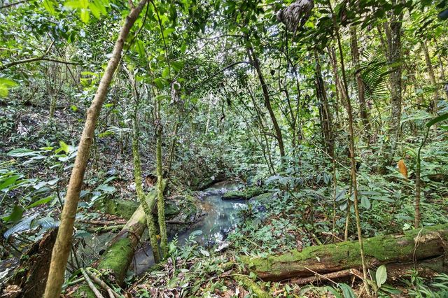 Carr. 186 INT 9948 KM 7.4 SECTOR MARINES CUBUY, Canovanas, PR 00729