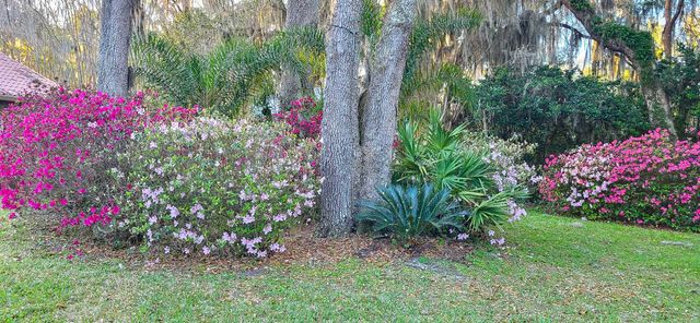 524 Cedar Creek Rd, Palatka, FL 32177