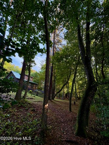 250 Hickory Woods Trail, Murphy, NC 28906