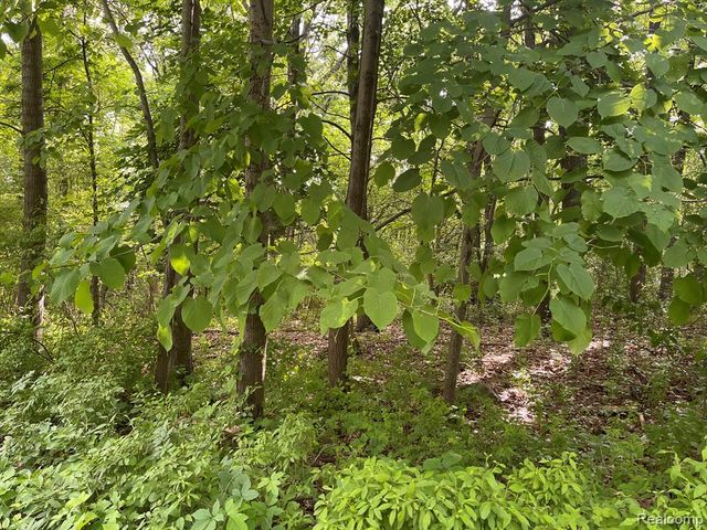 09 Tipsico Lake Road, Highland, MI 48357