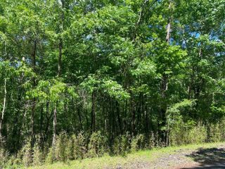 22 S Pine Harbour Drive, Coldspring, TX 77331
